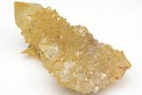 Sunshine Cactus Quartz Crystal Cluster - South Africa #212657-1